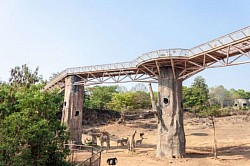 สวนสัตว์ขอนแก่น