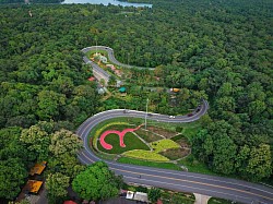 ถนนปิ้งงู